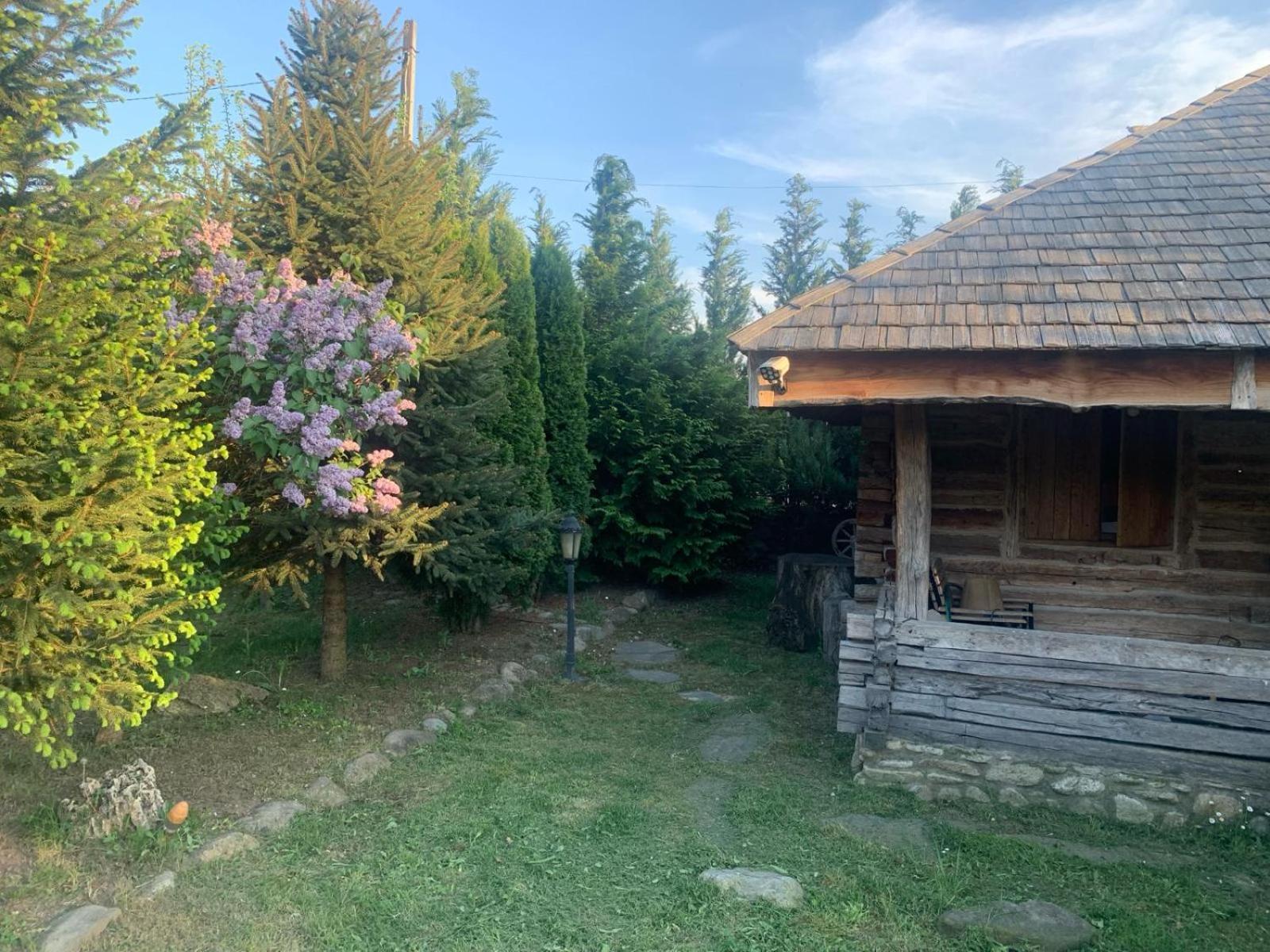 Satul Traditional Runcu  Exterior foto